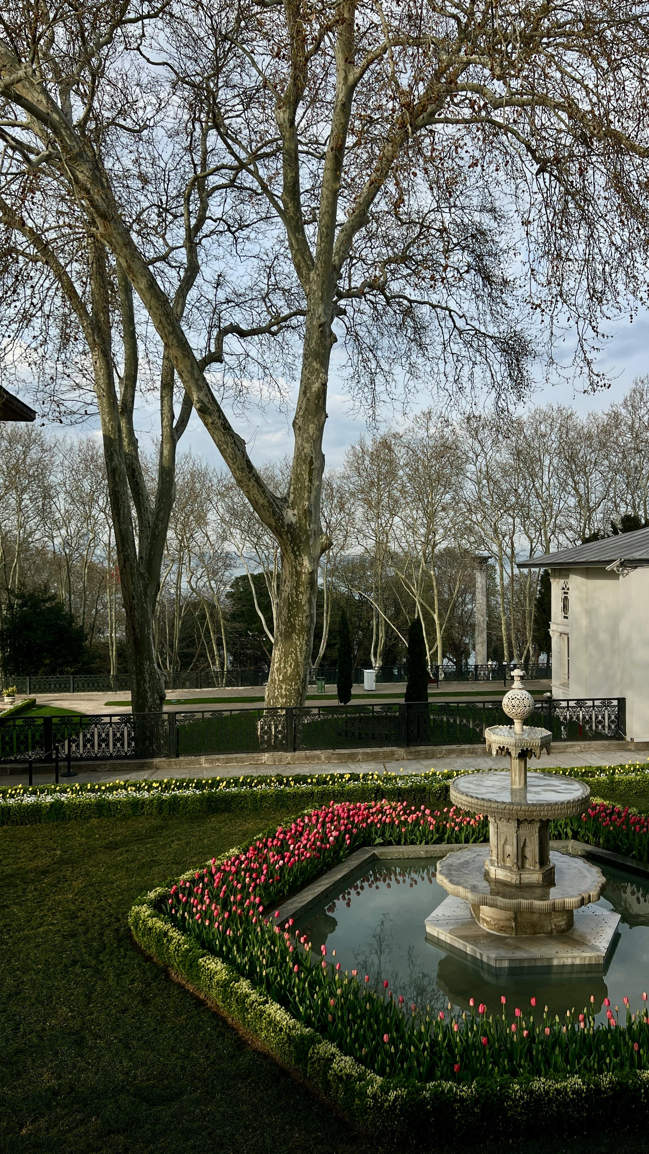 Săpături și terasamente